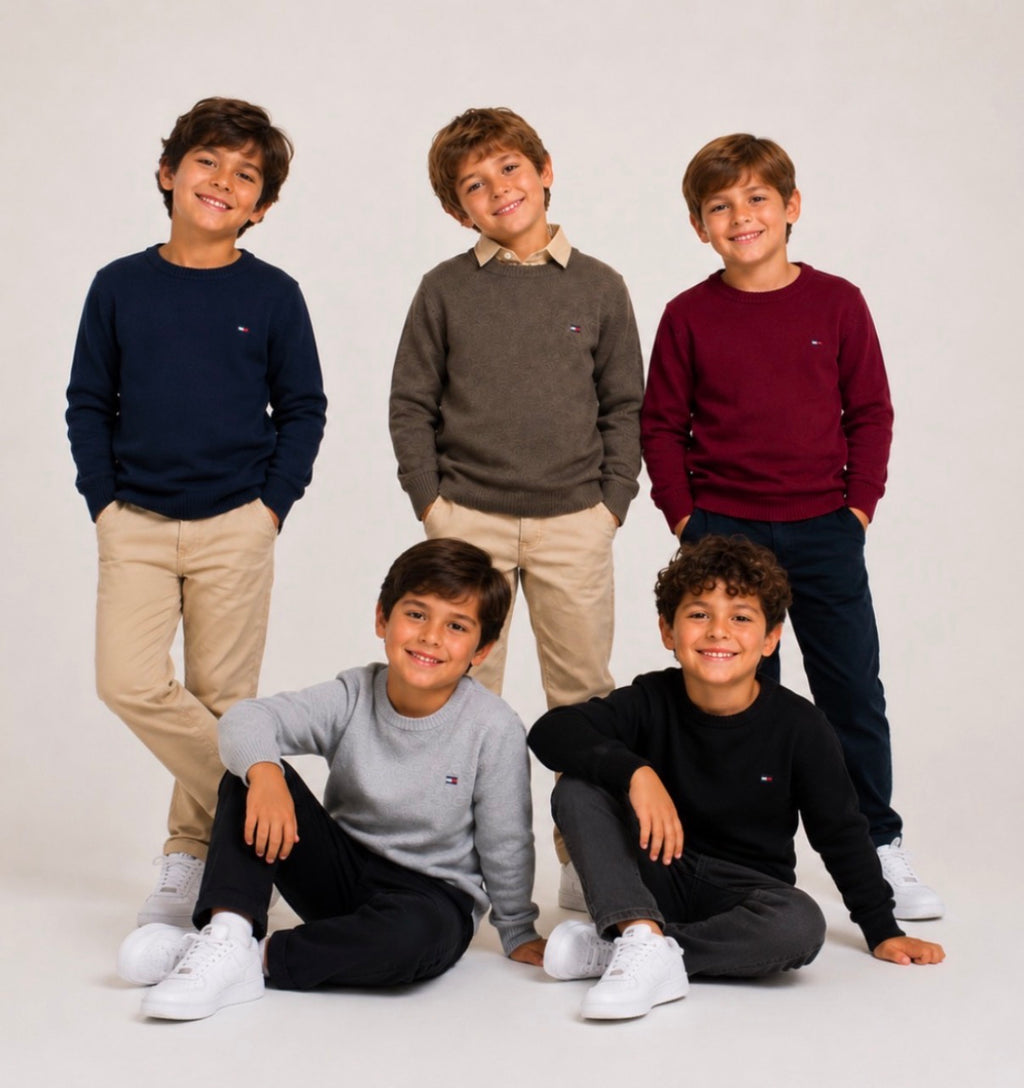 Sueter modal importado com detalhe bordado - Tommy